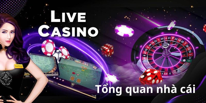 Tổng quan nhà cái Lucky88