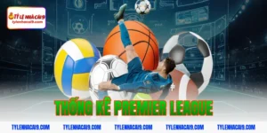 Tổng hợp số liệu thống kê giải đấu Premier League mới nhất 5 thống kê premier league
