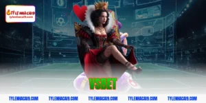 Đánh giá tổng quan sảnh chơi nhà cái hàng đầu Vsbet uy tín 245 vsbet