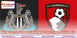 Nhận Định Trận Newcastle Vs Bournemouth 21h00 Ngày 18/4 6 Nhận Định Trận Newcastle Vs Bournemouth 21h00 Ngày 18/4